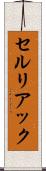 セルリアック Scroll