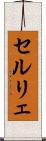 セルリェ Scroll