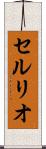 セルリオ Scroll