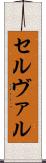 セルヴァル Scroll