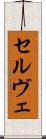 セルヴェ Scroll