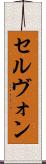 セルヴォン Scroll