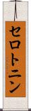 セロトニン Scroll