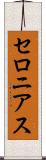セロニアス Scroll