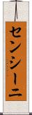 センシーニ Scroll