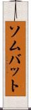 ソムバット Scroll