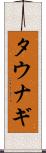 タウナギ Scroll