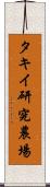 タキイ研究農場 Scroll