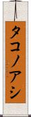タコノアシ Scroll