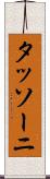 タッソーニ Scroll