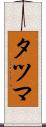 タツマ Scroll