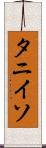 タニイソ Scroll