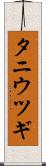 タニウツギ Scroll