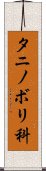 タニノボリ科 Scroll