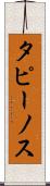 タピーノス Scroll