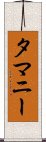 タマニー Scroll