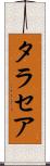 タラセア Scroll