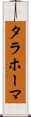 タラホーマ Scroll