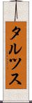 タルツス Scroll