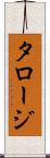タロージ Scroll