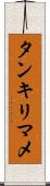 タンキリマメ Scroll