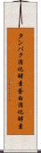 タンパク消化酵素 Scroll