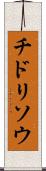 チドリソウ Scroll