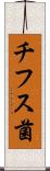 チフス菌 Scroll