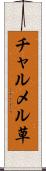 チャルメル草 Scroll