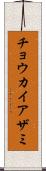 チョウカイアザミ Scroll