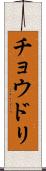 チョウドリ Scroll