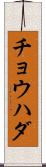 チョウハダ Scroll