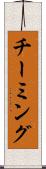 チーミング Scroll