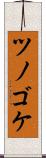ツノゴケ Scroll