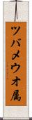 ツバメウオ属 Scroll