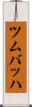 ツムバッハ Scroll