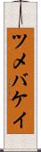 ツメバケイ Scroll