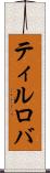 ティルロバ Scroll