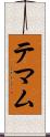 テマム Scroll