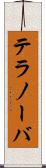テラノーバ Scroll