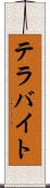 テラバイト Scroll