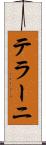 テラーニ Scroll
