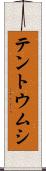 テントウムシ Scroll
