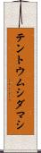テントウムシダマシ Scroll