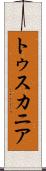 トゥスカニア Scroll