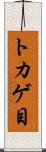 トカゲ目 Scroll