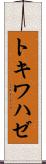 トキワハゼ Scroll