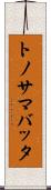トノサマバッタ Scroll