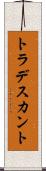 トラデスカント Scroll