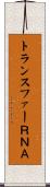 トランスファーＲＮＡ Scroll